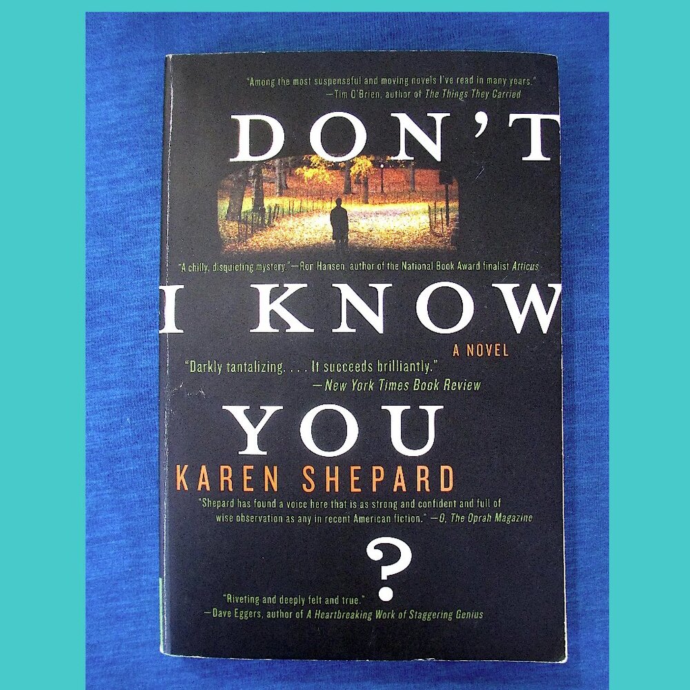 Book: Don't I Know You by Karen Shepard